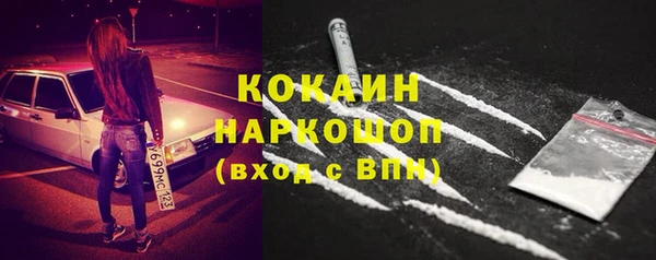 индика Вязники