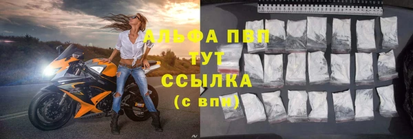 спайс Вяземский