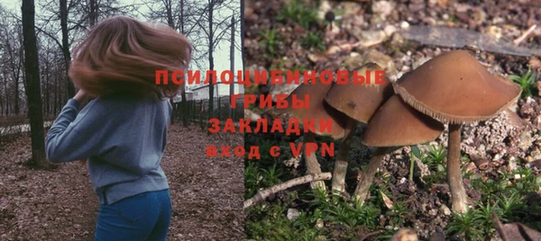 крисы Рославль