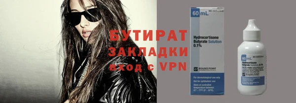 гидра Вязьма