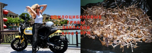 спайс Вяземский