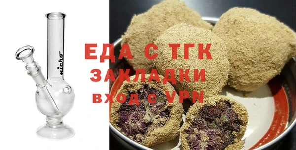гидра Вязьма