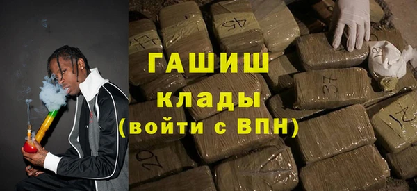 гидра Вязьма