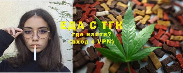индика Вязники