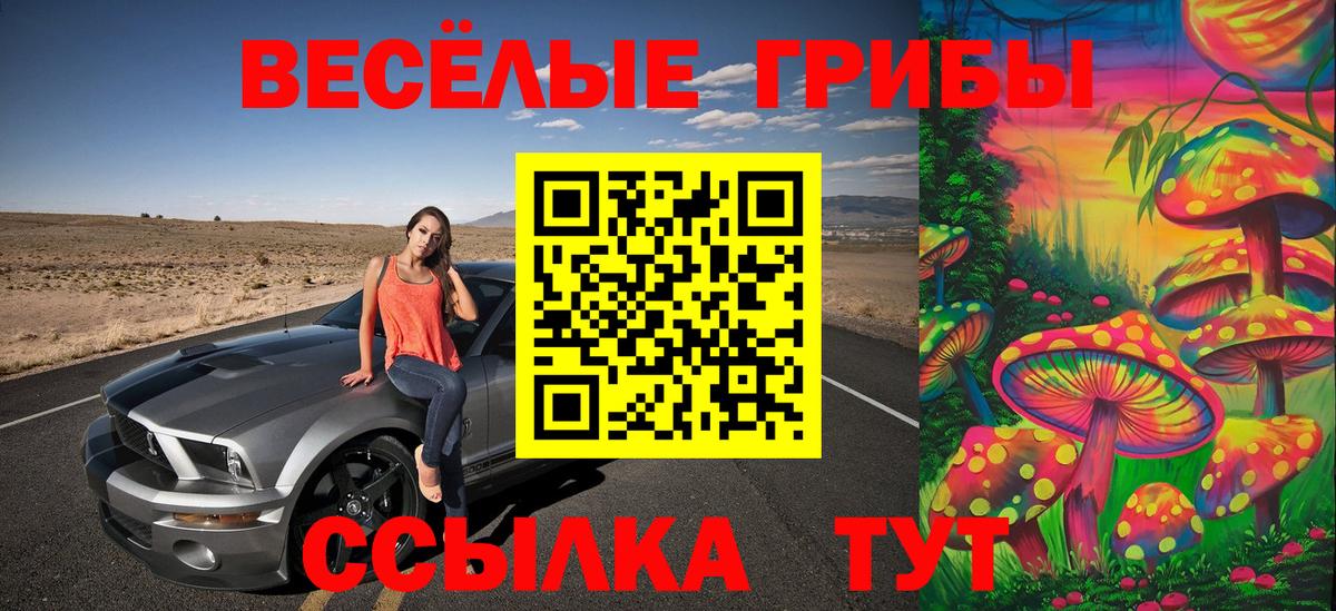 Галлюциногенные грибы Psilocybine cubensis Абакан
