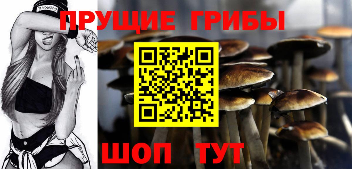 Галлюциногенные грибы Magic Shrooms Абакан