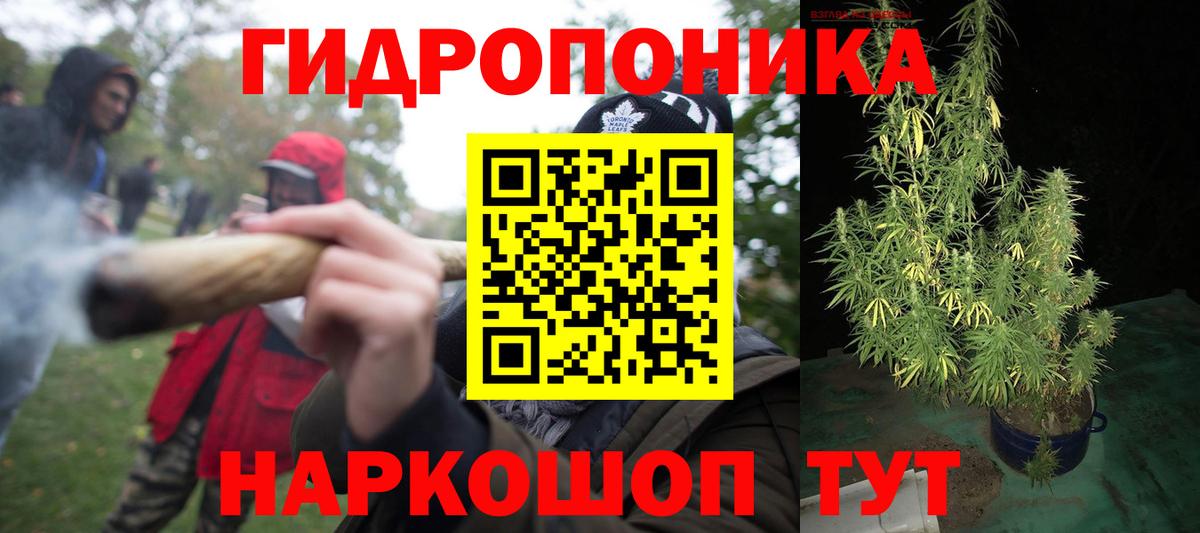 Бошки Шишки THC 21% Абакан